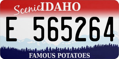 ID license plate E565264