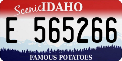 ID license plate E565266