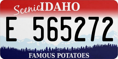 ID license plate E565272