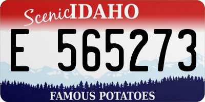 ID license plate E565273