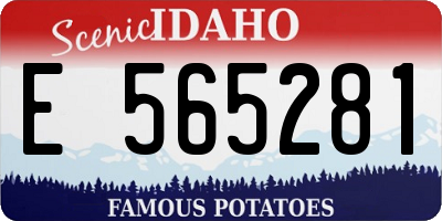 ID license plate E565281
