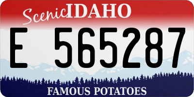 ID license plate E565287