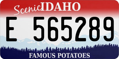 ID license plate E565289