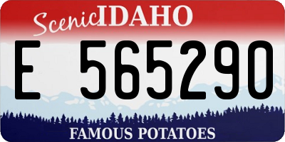 ID license plate E565290
