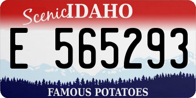 ID license plate E565293