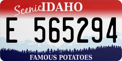 ID license plate E565294