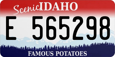 ID license plate E565298