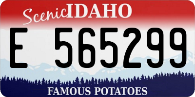 ID license plate E565299