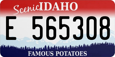 ID license plate E565308