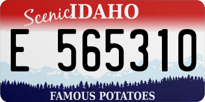 ID license plate E565310