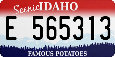 ID license plate E565313