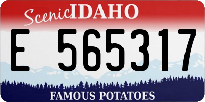 ID license plate E565317