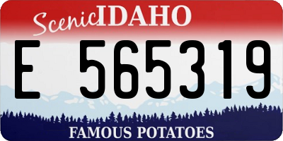 ID license plate E565319