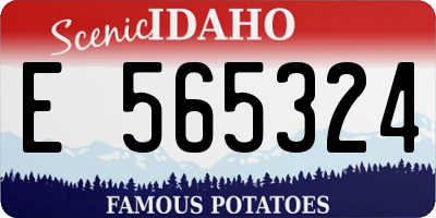 ID license plate E565324