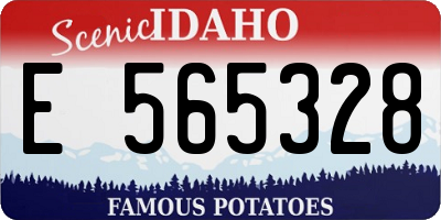 ID license plate E565328