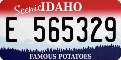ID license plate E565329