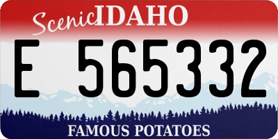 ID license plate E565332