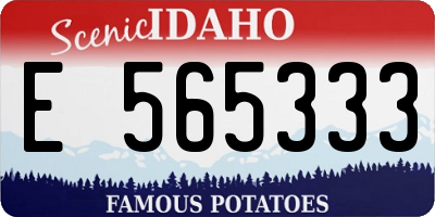 ID license plate E565333