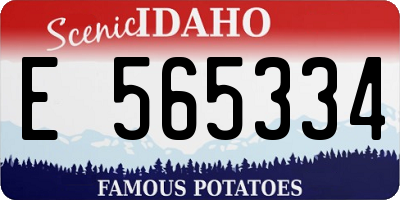 ID license plate E565334
