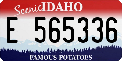 ID license plate E565336