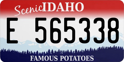 ID license plate E565338