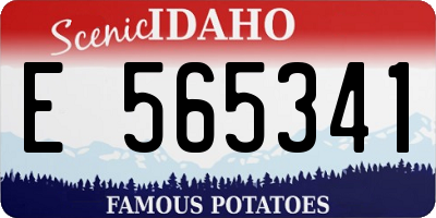 ID license plate E565341
