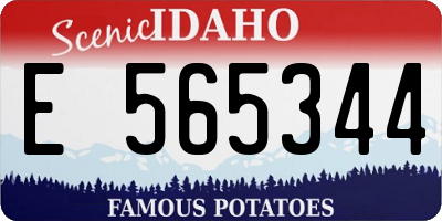 ID license plate E565344
