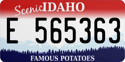ID license plate E565363