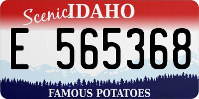 ID license plate E565368