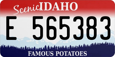 ID license plate E565383