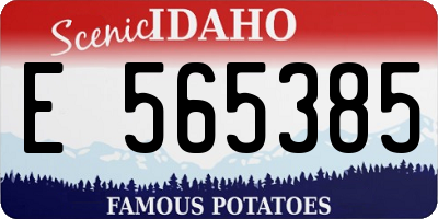 ID license plate E565385