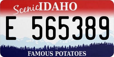 ID license plate E565389