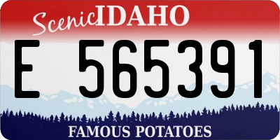 ID license plate E565391