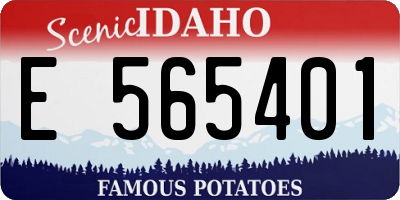 ID license plate E565401