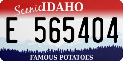 ID license plate E565404