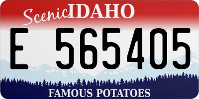 ID license plate E565405