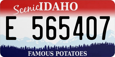 ID license plate E565407