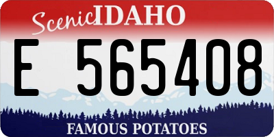 ID license plate E565408