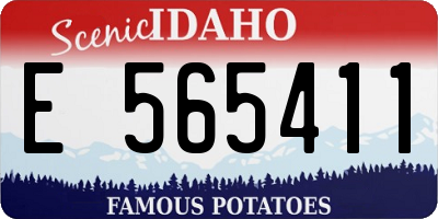 ID license plate E565411