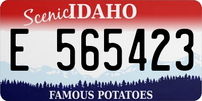 ID license plate E565423