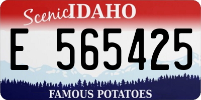 ID license plate E565425