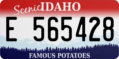 ID license plate E565428