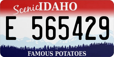 ID license plate E565429