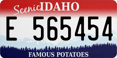 ID license plate E565454