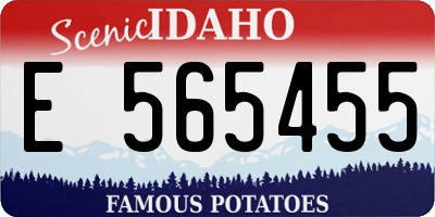ID license plate E565455