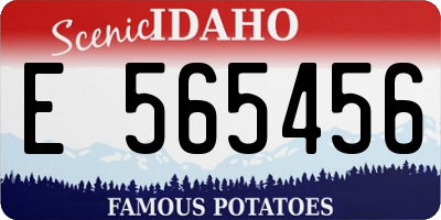 ID license plate E565456