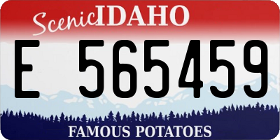 ID license plate E565459