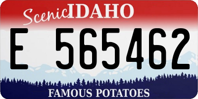 ID license plate E565462