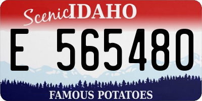 ID license plate E565480
