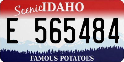ID license plate E565484